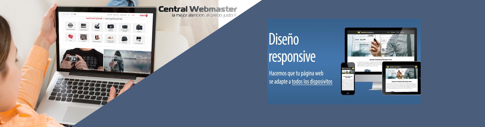 desarrollo paginas web